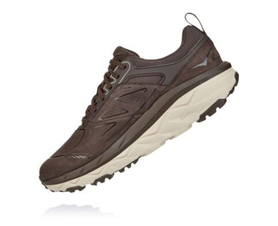 Hoka Australia One One Challenger Low GORE-TEX - Mens Trail Shoes Brown - TCEHO-3289